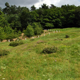 cmentarzysko kurhanowe na 'Wzgórzu Wisielców'